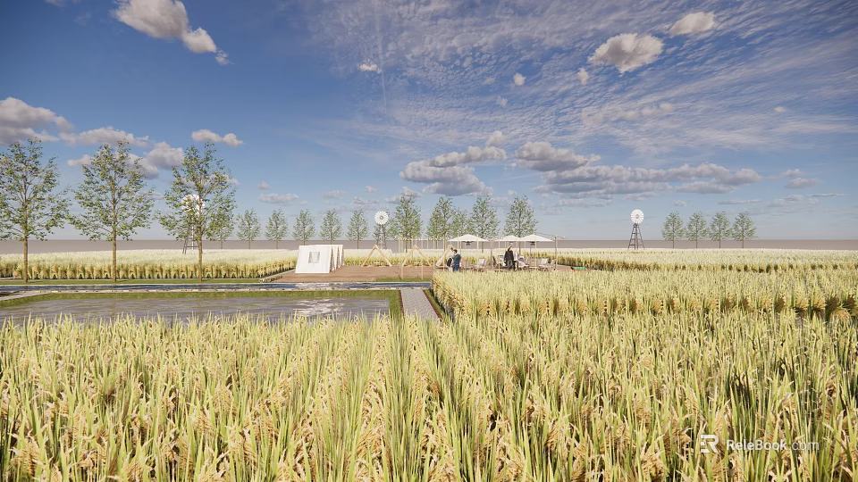 Rural Countryside Landscape With Golden Rice Fields Blue Sky White Clouds Trees And Patio Area 3d model 