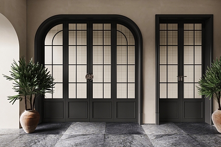 French Double Door Combination 3d model