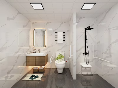 Modern Other Bathroom Interior Design With Marble Walls Toilet Sink And Grab Bars 3d model