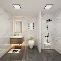 Modern Other Bathroom Interior Design With Marble Walls Toilet Sink And Grab Bars