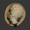 Decorative Lamb Sculpture With White Textured Wool Black Face And Wooden Base