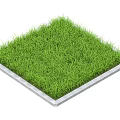 Well Maintained Green Square Grass Lawn With Gray Border And Fresh Look