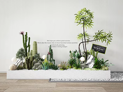 Diverse Plant Combination With Cactus Succulents Tall Plant White Pebbles Lights Blackboard And White Wall 3d model