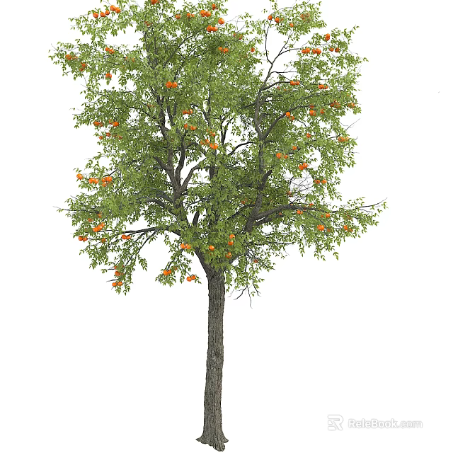 Tall Healthy Arbor With Lush Green Leaves And Abundant Orange Fruits 3d model 