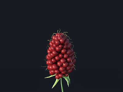Vibrant Red Berry Cluster With Fresh Green Stem And Leaves Against Black Background 3d model