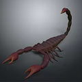 3D Rendered Brown Scorpion with Red Pincers and Curved Tail on Dark Background