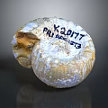 Carved Shell Shaped Sculpture With Engraved Text K30177 PRIMROSE And Textured Surface