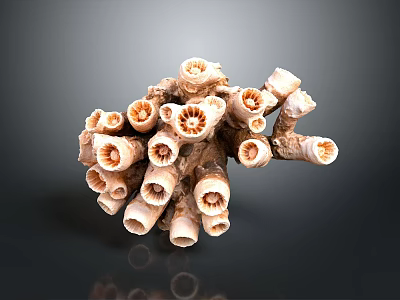 Detailed Organ And Hair Structure Featuring Tubular Branched Porous Brown White Parts 3d model