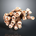 Detailed Organ And Hair Structure Featuring Tubular Branched Porous Brown White Parts