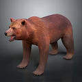 Realistic Brown Bear Standing With Open Mouth And Detailed Fur Texture