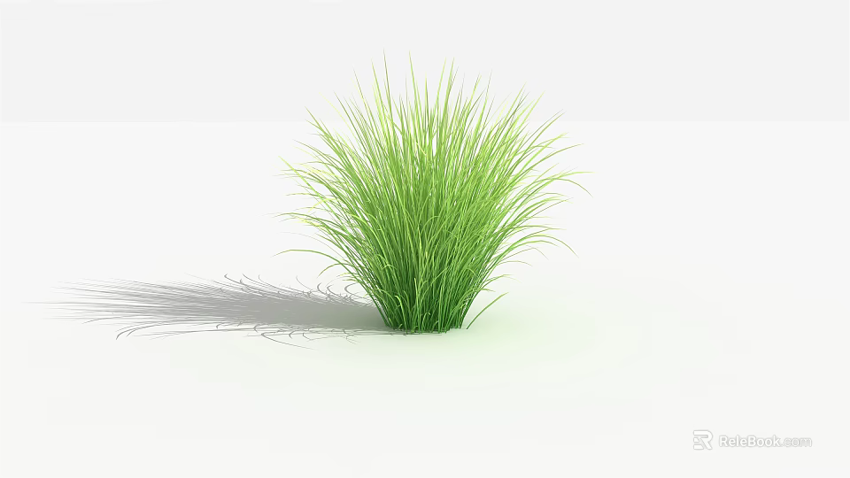 Lush Green Grass Plant With Fresh Vibrant Leaves On White Background And Shadow 3d model 