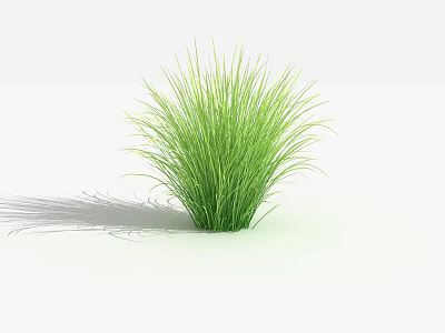 Lush Green Grass Plant With Fresh Vibrant Leaves On White Background And Shadow 3d model