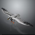 Seagull Flying Spread Wings White Body Black Wing Tips Orange Beak Feet Gray Background Reflection