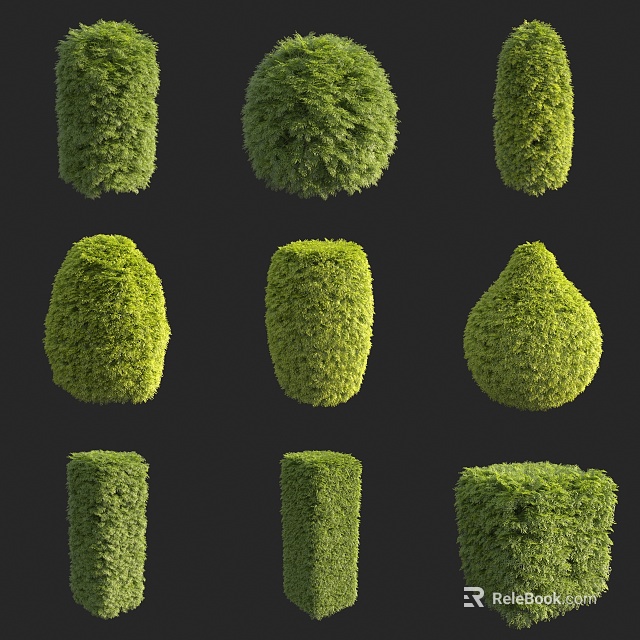 Trimmed Bushes With Various Shapes Such As Round Square And Cone For Garden Design 3d model 