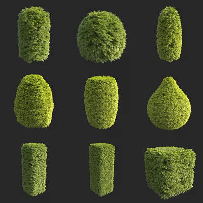 Trimmed Bushes With Various Shapes Such As Round Square And Cone For Garden Design 3d model
