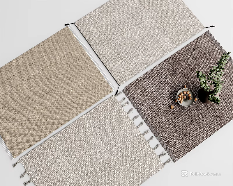 Neutral Toned Square Rugs With Woven Texture And Tassels For Home Decor 3d model 