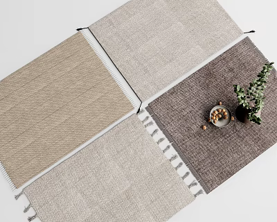 Neutral Toned Square Rugs With Woven Texture And Tassels For Home Decor 3d model