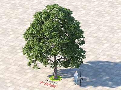 Lush Green Arbor With Dense Foliage And Thick Trunk On Paved Ground With Human Figure 3d model