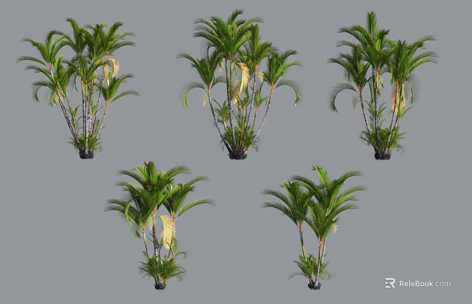 Lush Green And Yellow Palm Plants In Black Pots On Grey Background 3d model 