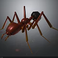 Detailed Red Ant 3D Model With Black Abdomen And Orange Legs
