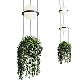 Modern hanging basket green plant hanging basket chandelier 3d model