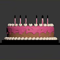 Delicious Pink Frosted Cake With White Decorative Balls And Black Candles On Black Tray