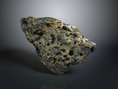 Natural Wood Stone Material With Porous Surface And Rough Gray Texture For Decorative Use 3d model