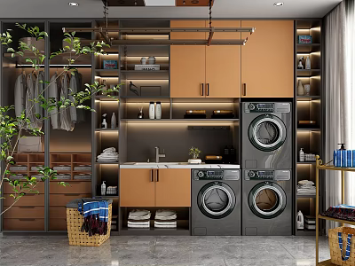 Modern Laundry Room Interior Design With Washing Machines Dryers Cabinets Shelves And Plant 3d model