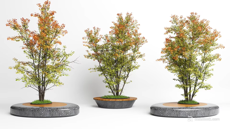 Decorative Tree Planters With Green Trees In Modern Outdoor Design 3d model