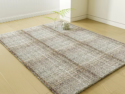 Square Woven Rug with Neutral Tones on Wooden Floor in Modern Room and Small Plant 3d model