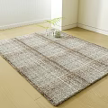 Square Woven Rug with Neutral Tones on Wooden Floor in Modern Room and Small Plant