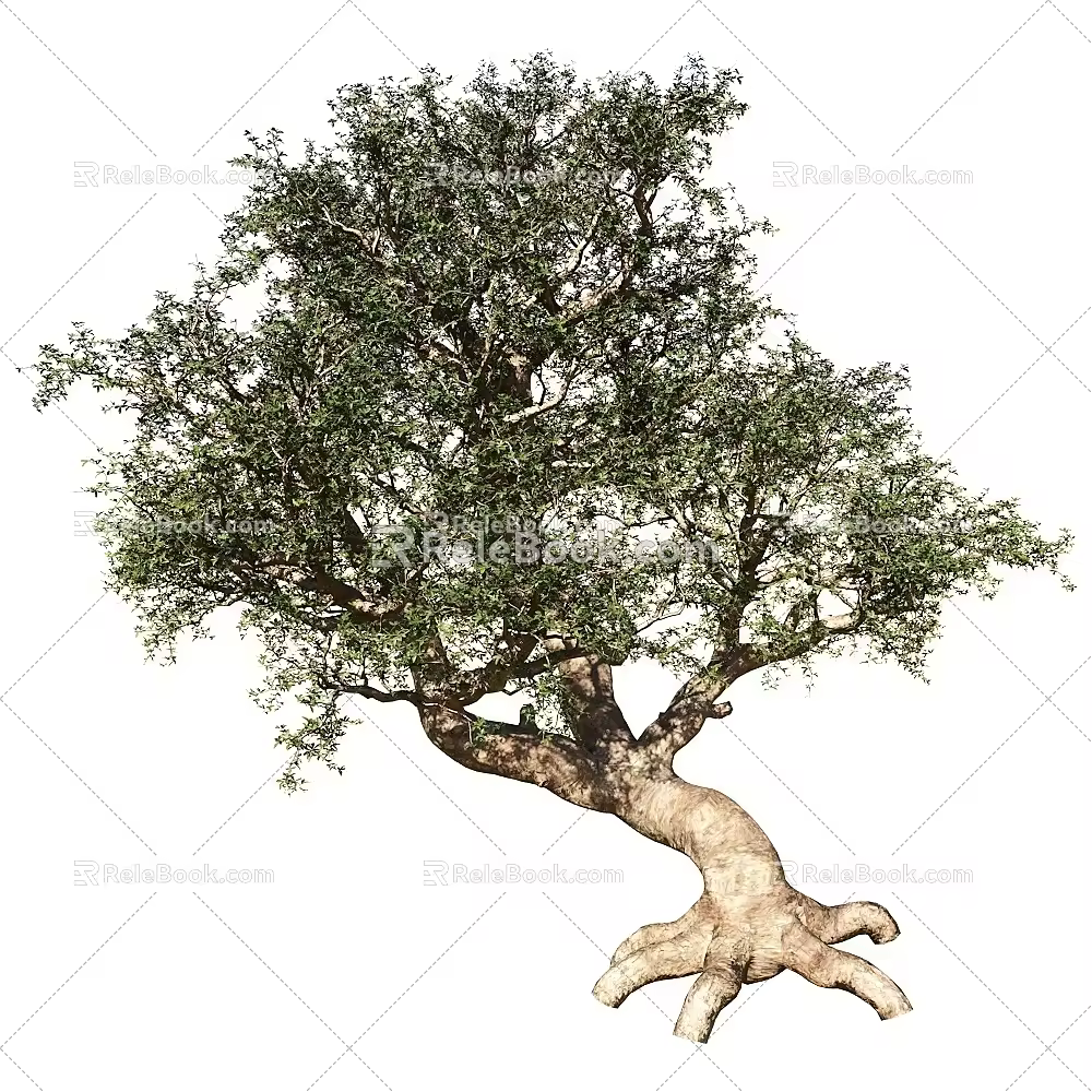 Myrrha Trees Greening 18 3d model
