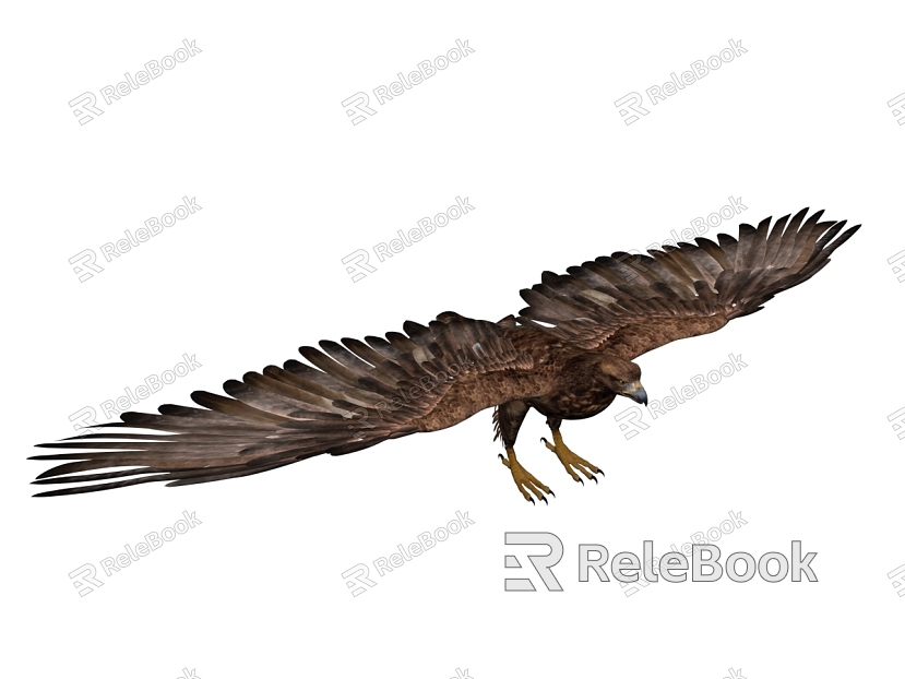 Eagle Eagle Flying model