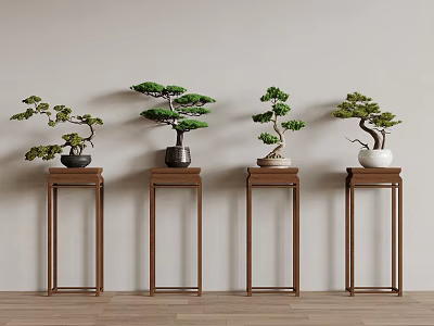 Beautiful Bonsai Trees Displayed on Wooden Stands Against Light Colored Wall and Wooden Floor 3d model