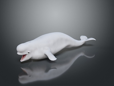 Modern spotted dolphin white dolphin baiji dolphin model