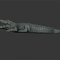 Modern Crocodile Alligator Nile Crocodile carnivore 3d model