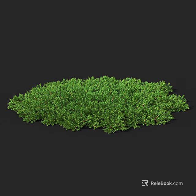 Lush Green Shrub With Dense Round Foliage And Vibrant Fresh Leaves 3d model 