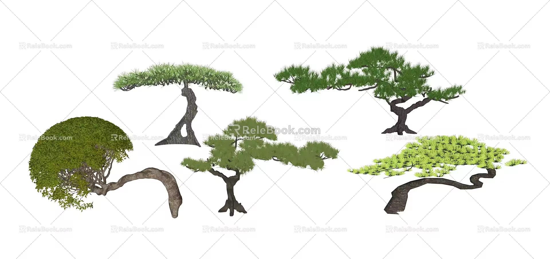 New Chinese Pine Landscape Plant Modeling Pine Modeling Luo Han Pine 3d model