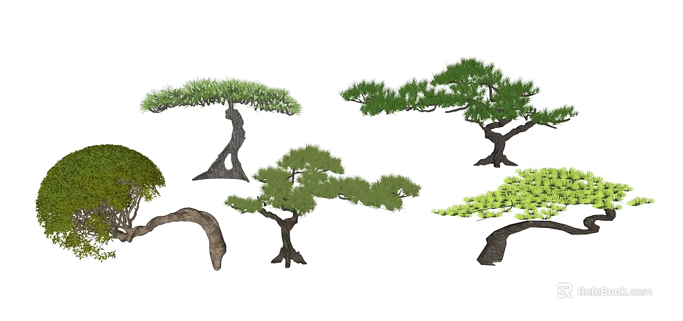 Various Styles Of Different Shaped Trees Design With Green Foliage And Unique Trunks 3d model 