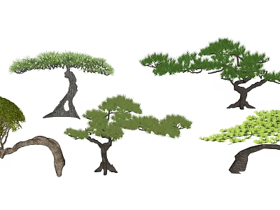 Various Styles Of Different Shaped Trees Design With Green Foliage And Unique Trunks 3d model