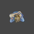 Game Movie Character In Blue Outfit Doing Cross Legged Floating Pose With Blurred Natural Background