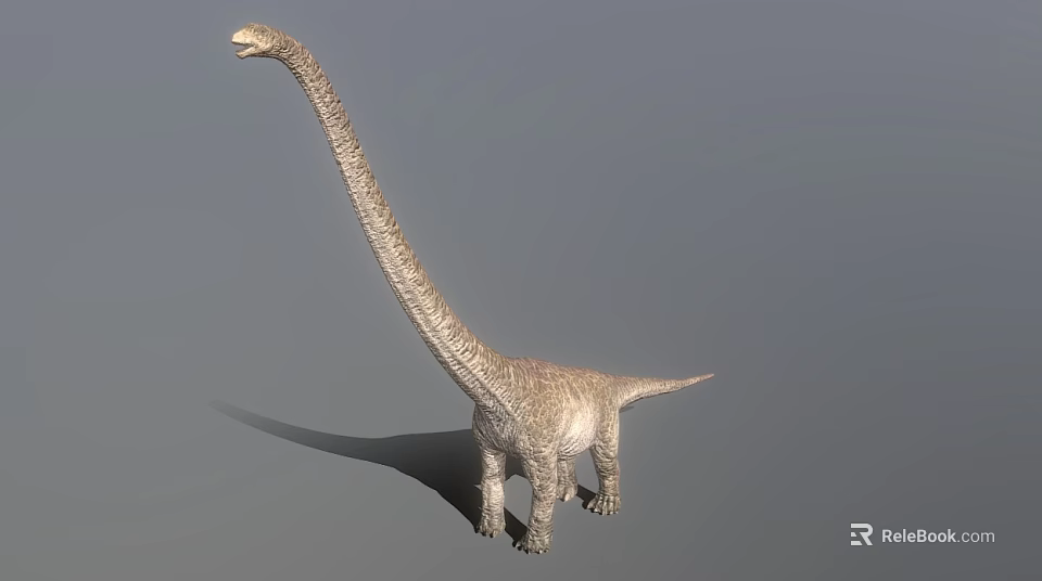 Realistic Long Neck Dinosaur Model With Textured Skin On Gray Background 3d model 