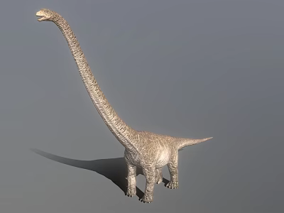 Realistic Long Neck Dinosaur Model With Textured Skin On Gray Background 3d model