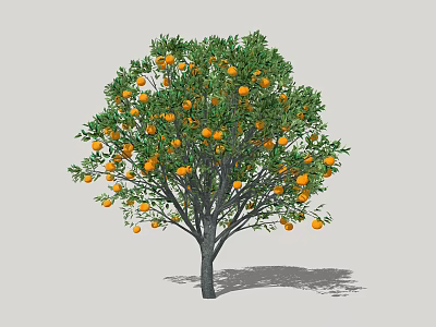 Arbor with Abundant Orange Fruits Lush Green Leaves and Dark Trunk 3d model