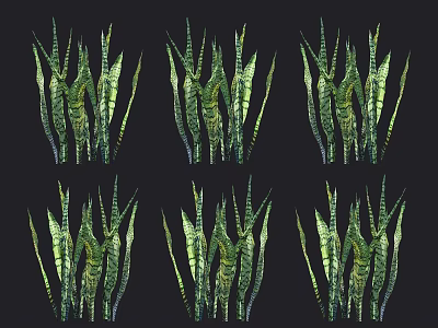 Lush Vibrant Green Leafy Plants in Multiple Clusters Against Dark Background 3d model