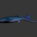 Blue Purple Gradient Shark Aquatic Animal With Yellow Eyes 3D Rendering 3d model