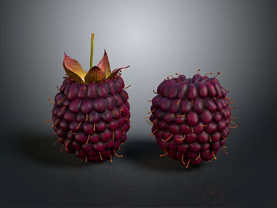 Fresh Dark Purple Raspberries With Green Leaves And Yellow Thorns On Dark Background 3d model