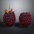 Fresh Dark Purple Raspberries With Green Leaves And Yellow Thorns On Dark Background