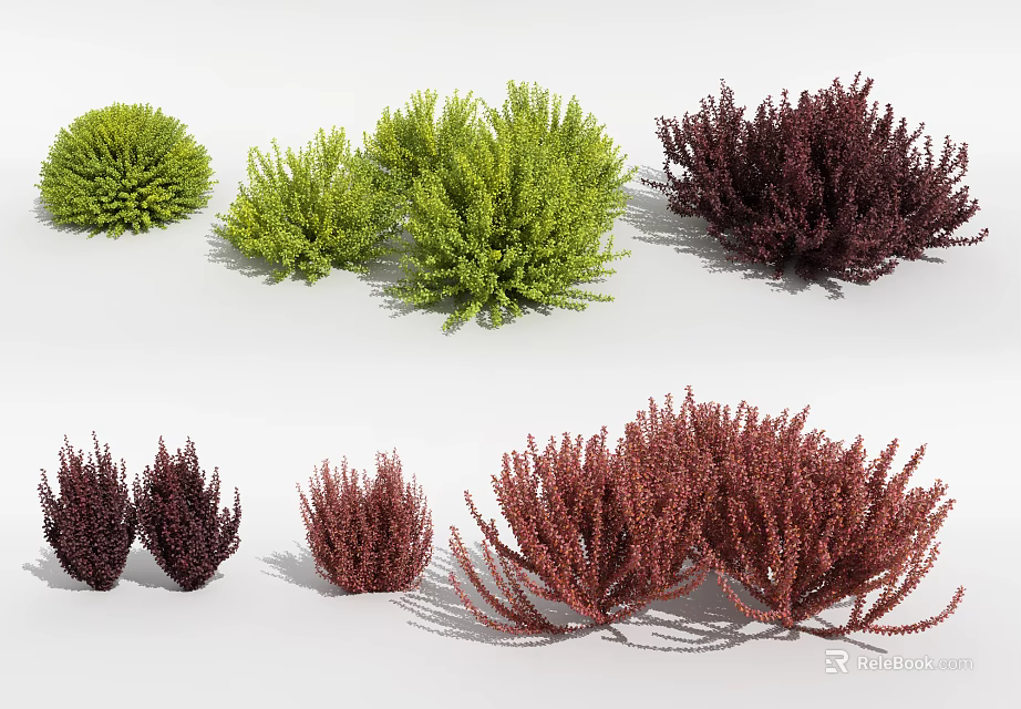 Various Colored Garden Shrubs in Green and Burgundy for Landscaping Design 3d model 