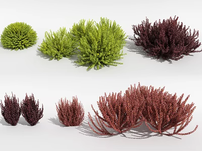 Various Colored Garden Shrubs in Green and Burgundy for Landscaping Design 3d model